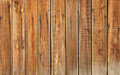 Similar image 892019