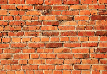 Similar image 892038