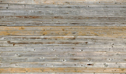 Similar image 892046