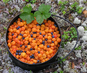 Similar image 892054