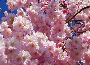 Similar image 892057