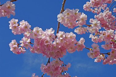 Similar image 892058