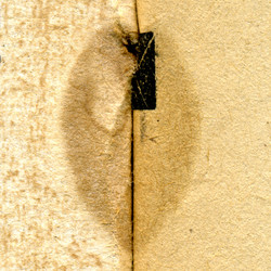 Similar image 892171