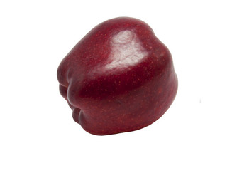 Similar image 892199