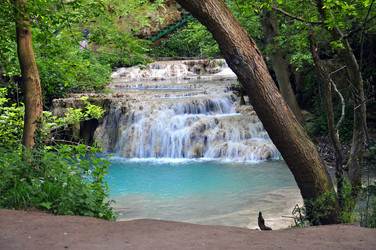 Similar image 892419