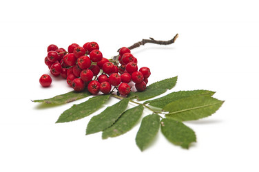 Similar image 892473