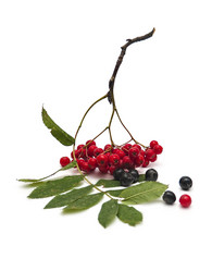 Similar image 892474