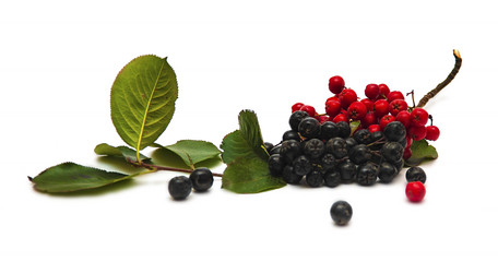 Similar image 892476