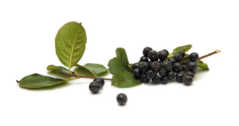 Similar image 892477