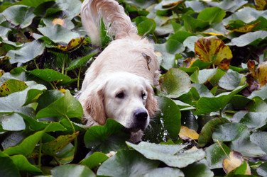 Similar image 892590