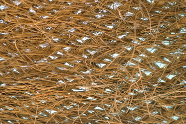 Similar image 892592