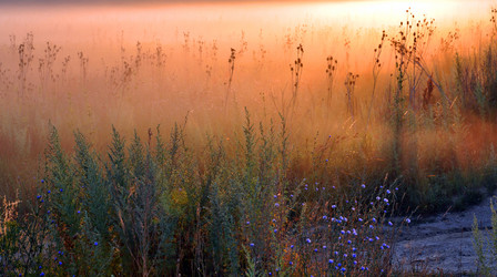 Similar image 892600