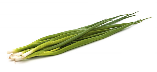 Similar image 892608