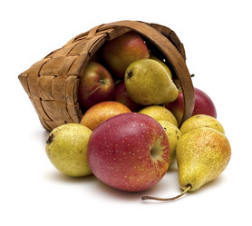 Similar image 892648