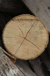 Similar image 892651