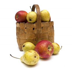 Similar image 892659