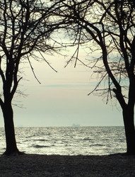 Similar image 892664