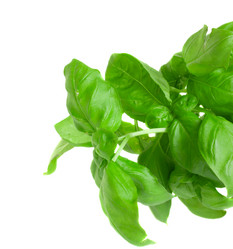 Similar image 892675