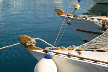 Similar image 892684