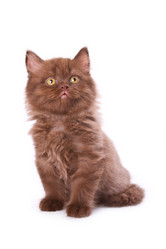 Similar image 892704