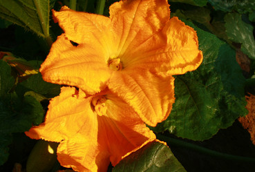 Similar image 892715