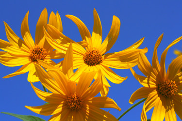 Similar image 892726