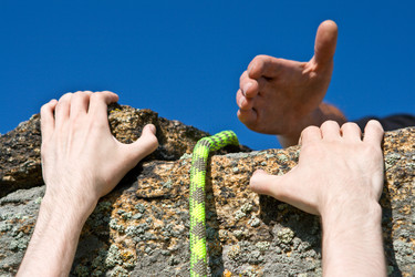 Similar image 892736