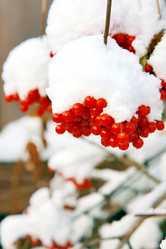 Similar image 892738