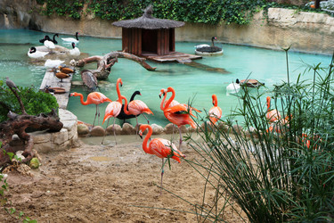 Similar image 892813