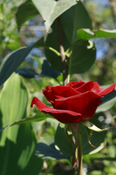 Similar image 892820