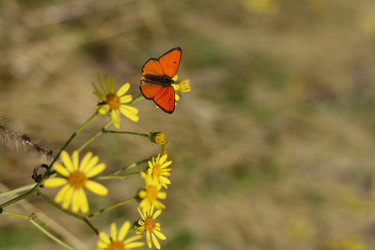 Similar image 892824