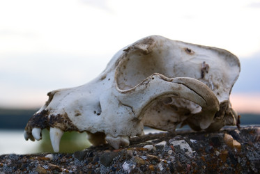 Similar image 892871