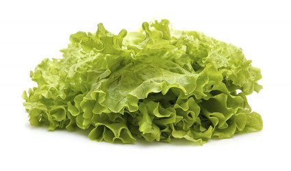 Similar image 892890