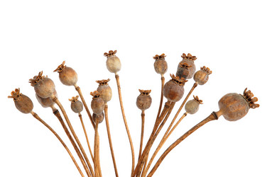 Similar image 892900