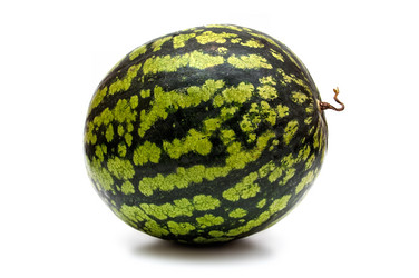 Similar image 892901