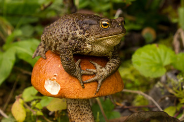 Similar image 892920