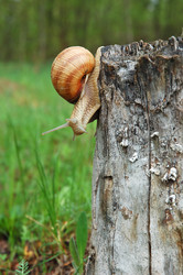 Similar image 892924