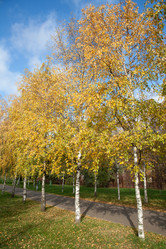 Similar image 892930