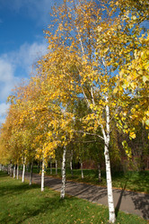 Similar image 892931