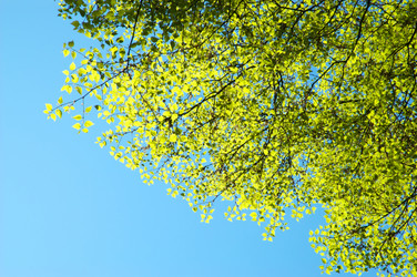 Similar image 892937