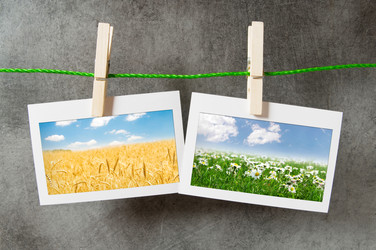 Similar image 892996