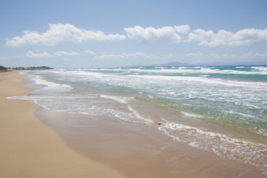 Similar image 893003