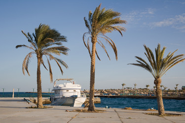 Similar image 893017