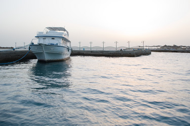 Similar image 893020