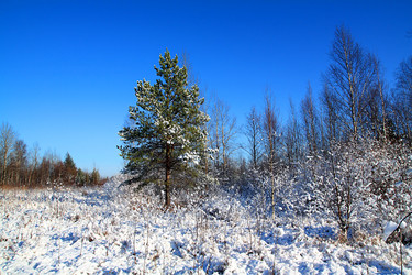 Similar image 893061