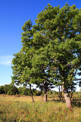 Similar image 893066