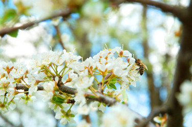 Similar image 893081