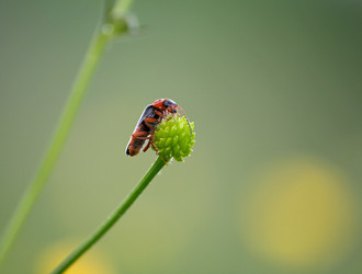 Similar image 893083