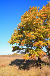 Similar image 893086