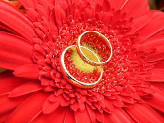 Similar image 893088